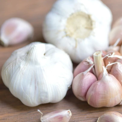 Sadbový česnek Garpek - paličák - Allium sativum - cibulky česneku - 1 balení