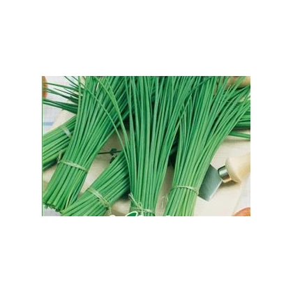 BIO Pažitka Polyfit - Allium schoenoprasum L. - bio osivo pažitky - 0,5 g