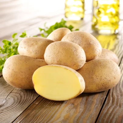 BIO Sadbové brambory Gunda - Solanum tuberosum - Kiepenkerl - bio sadba - 10 ks