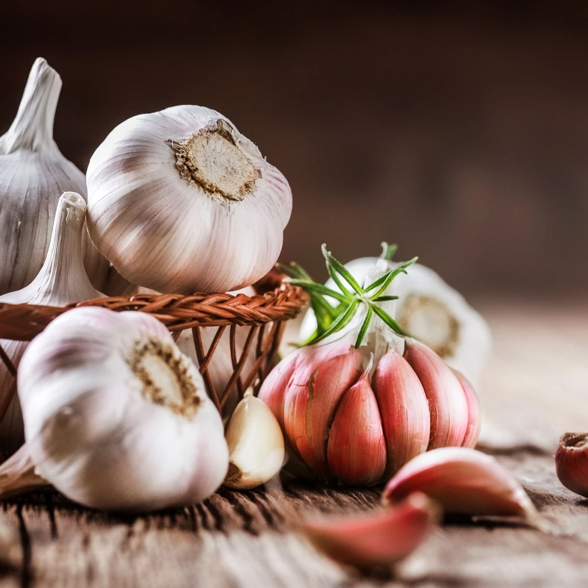 Sadbový česnek Morado de Cuenca - nepaličák - Allium - cibulky česneku - 1 balení