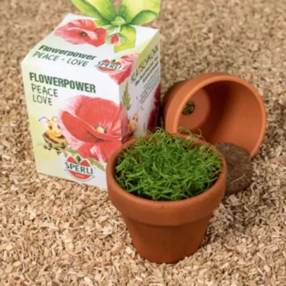 Mini sada na pěstování vlčího máku - včetně květináče, substrátu a semen - Sperli - 1 ks