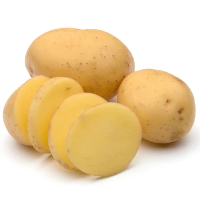 Sadbové brambory Otolia - Solanum tuberosum - žluté polorané - 10 ks
