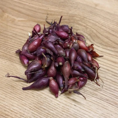 Cibule sazečka Piroska - Allium cepa - cibule sazečky - 250 g