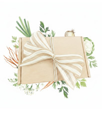 Dárkové balení semen zeleniny do polévky