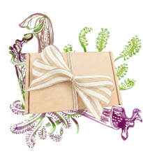 Dárkové balení semen masožravek