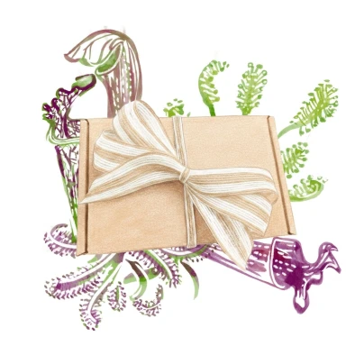 Dárkové balení semen masožravek