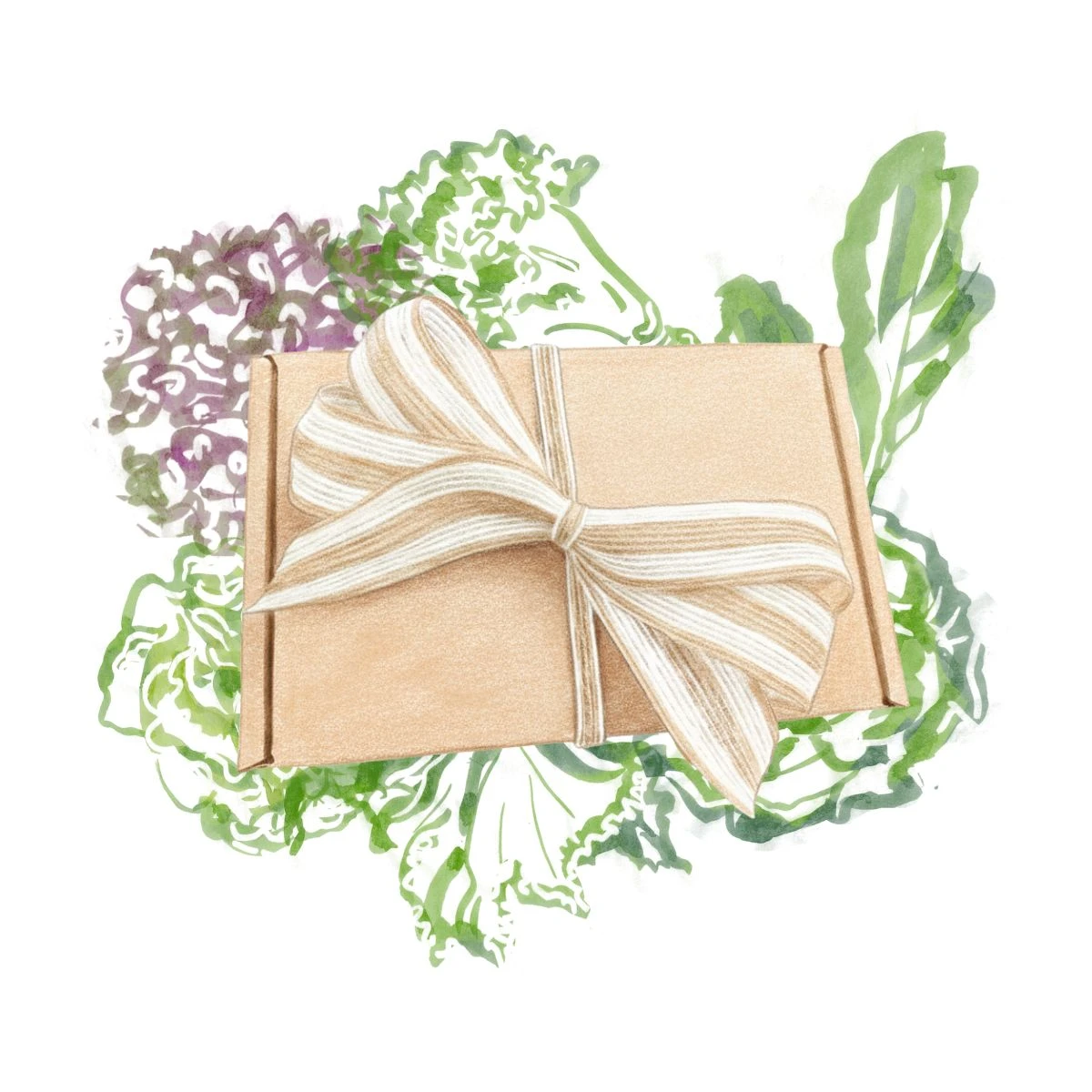 Dárkové balení semen listové zeleniny