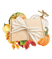 Dárkové balení semen dýní