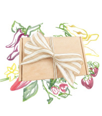 Dárkové balení semen chilli papriček