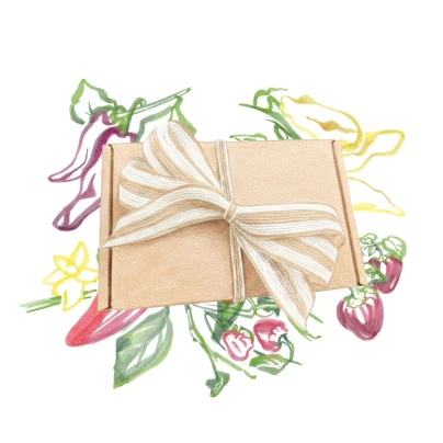 Dárkové balení semen chilli papriček