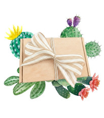 Dárkové balení semen kaktusů