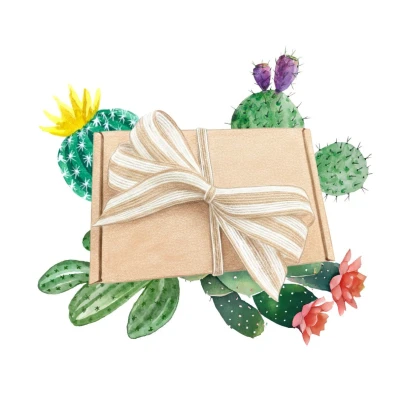 Dárkové balení semen kaktusů