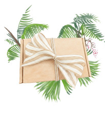 Dárkové balení semen palem