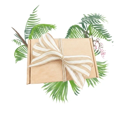 Dárkové balení semen palem