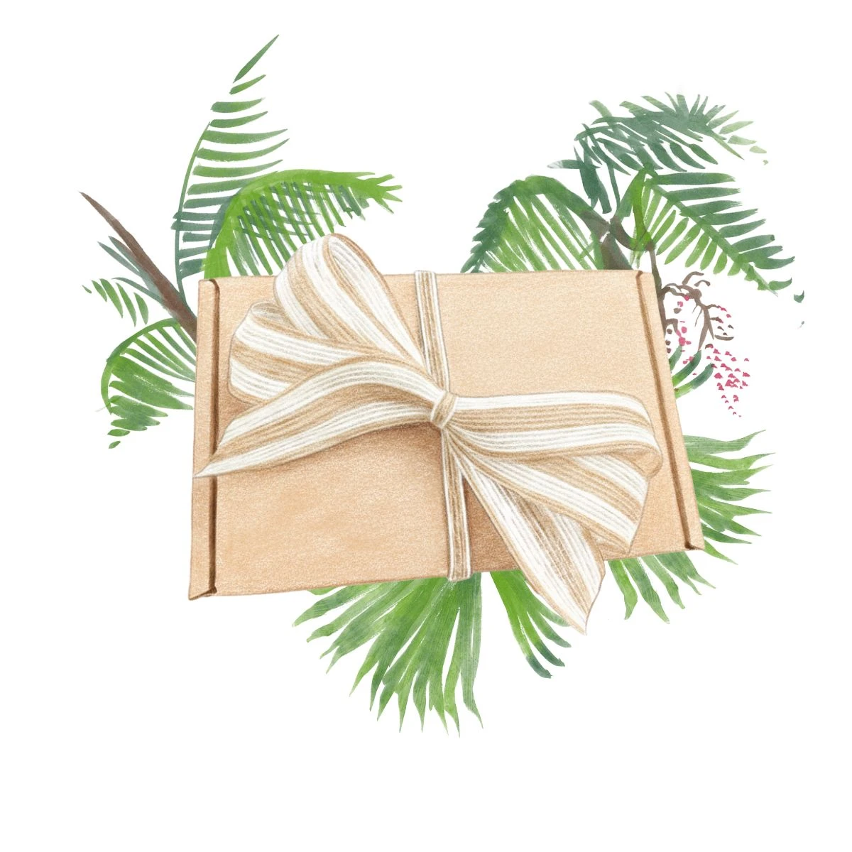 Dárkové balení semen palem