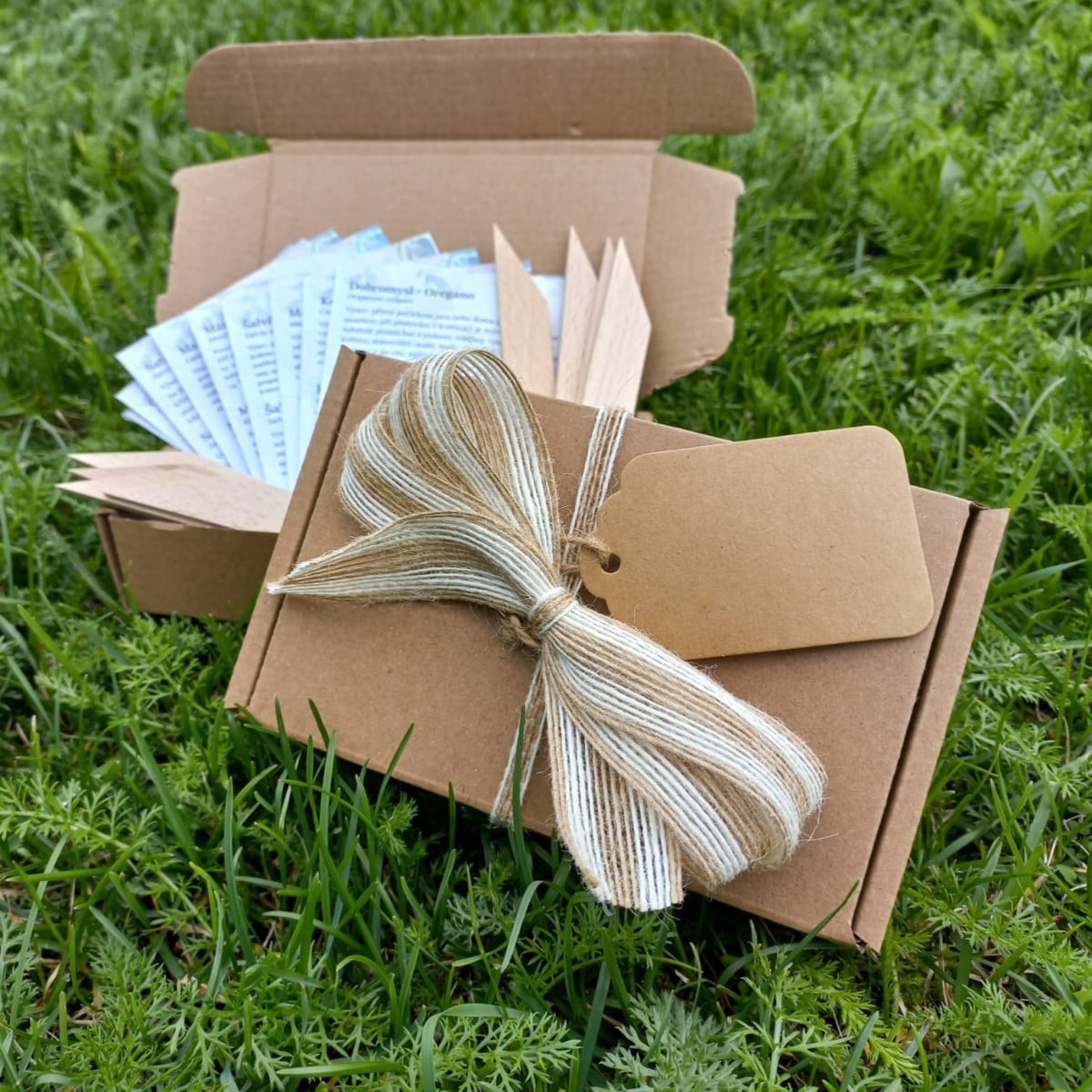 Dárkové balení semen květin do truhlíků