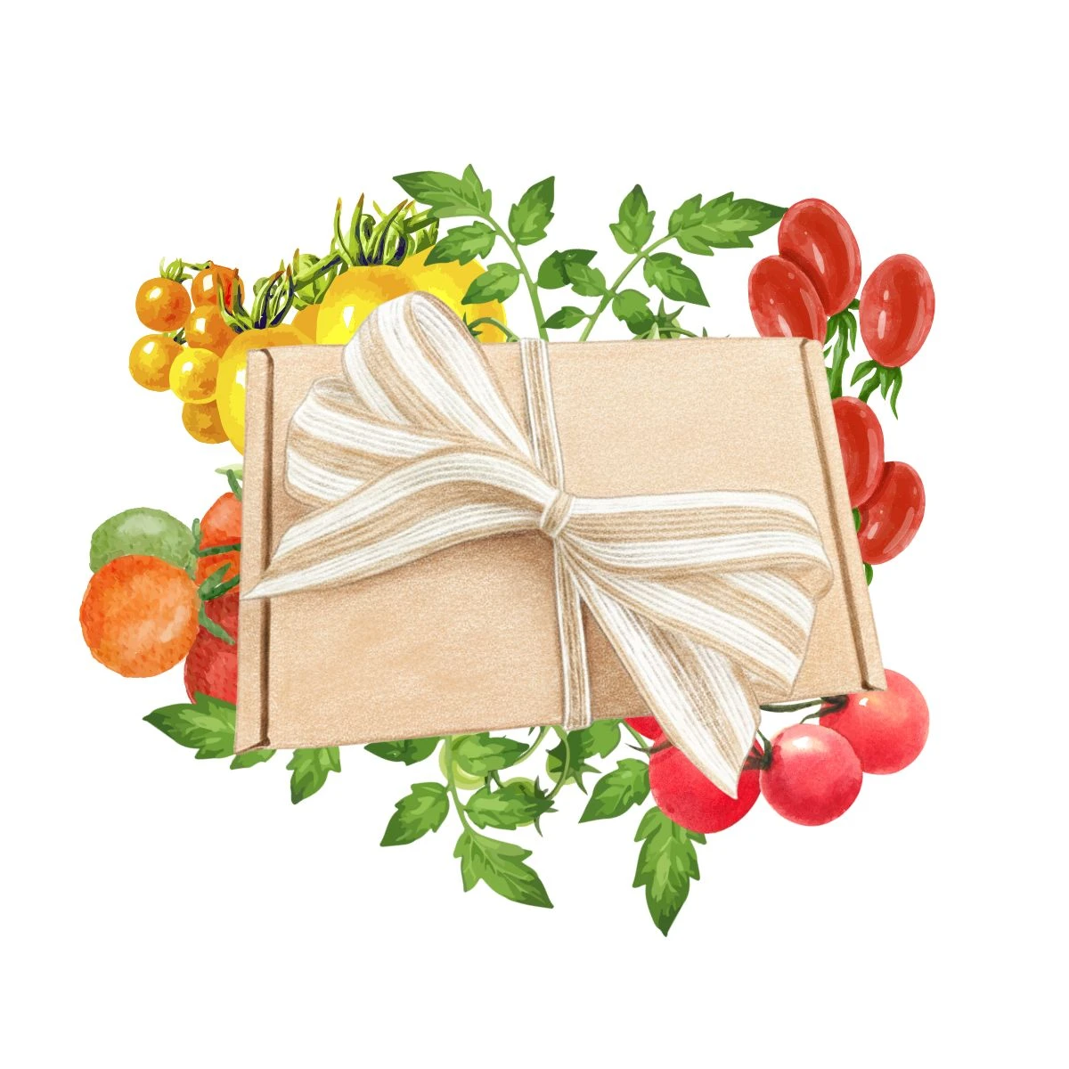 Dárkové balení semen rajčat