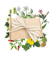 Dárkové balení semen pro muže