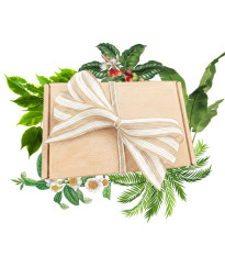 Dárkové balení semen pokojových rostlin