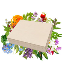 Top osiva v dřevěné dárkové krabičce