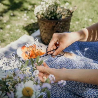 Starožitné nůžky z litiny - Strömshaga AB - 1 ks