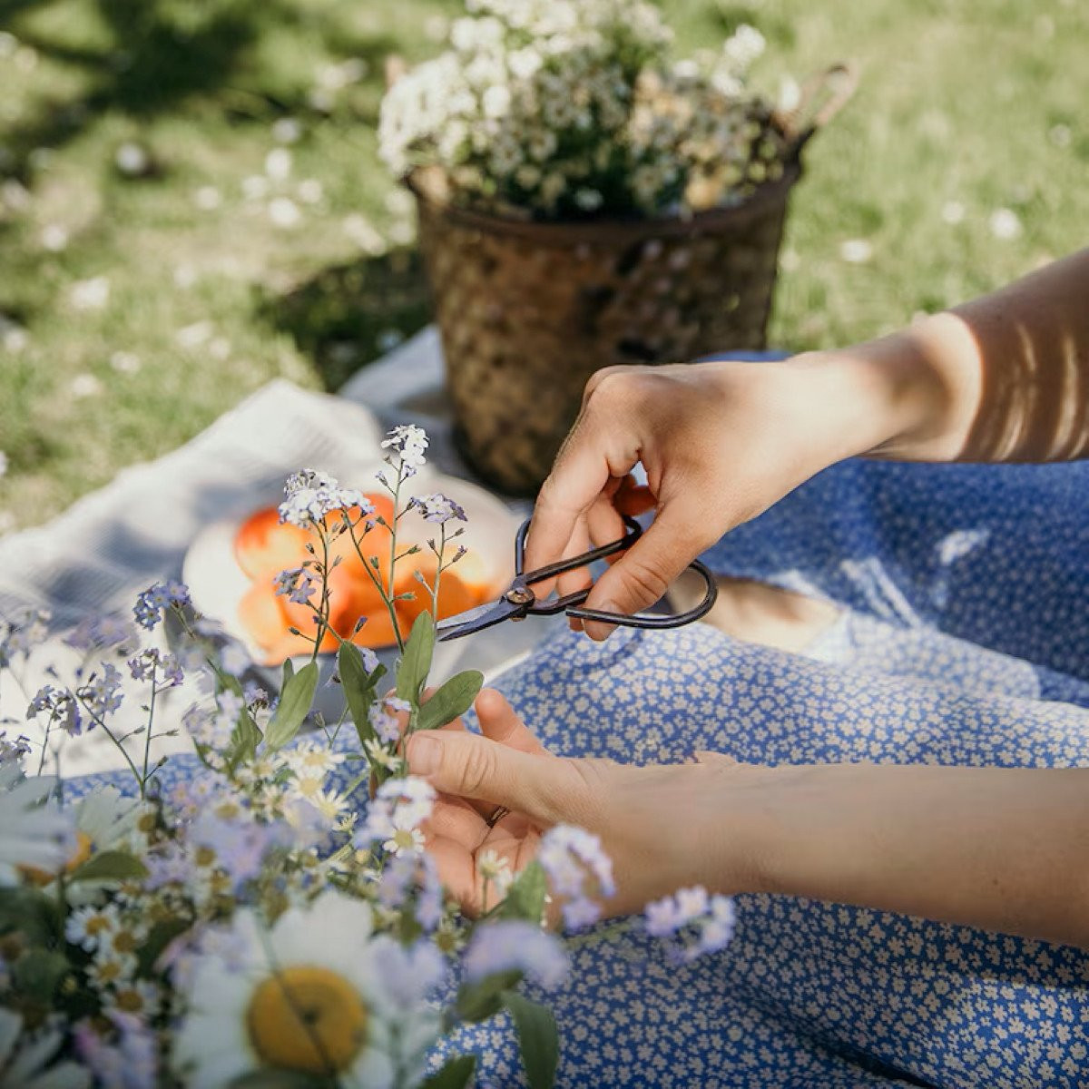 Starožitné nůžky z litiny - Strömshaga AB - 1 ks