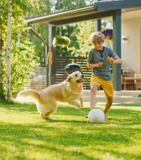 BIO Travní osivo univerzální – osivo – směs – Sativa