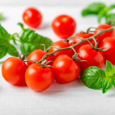 Rajče Gourmelito F1 - Solanum lycopersicum - osivo rajčat - 6 ks