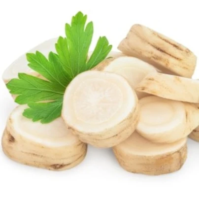 Petržel kořenová zahradní Efez – Petroselinum crispum – osivo petržele