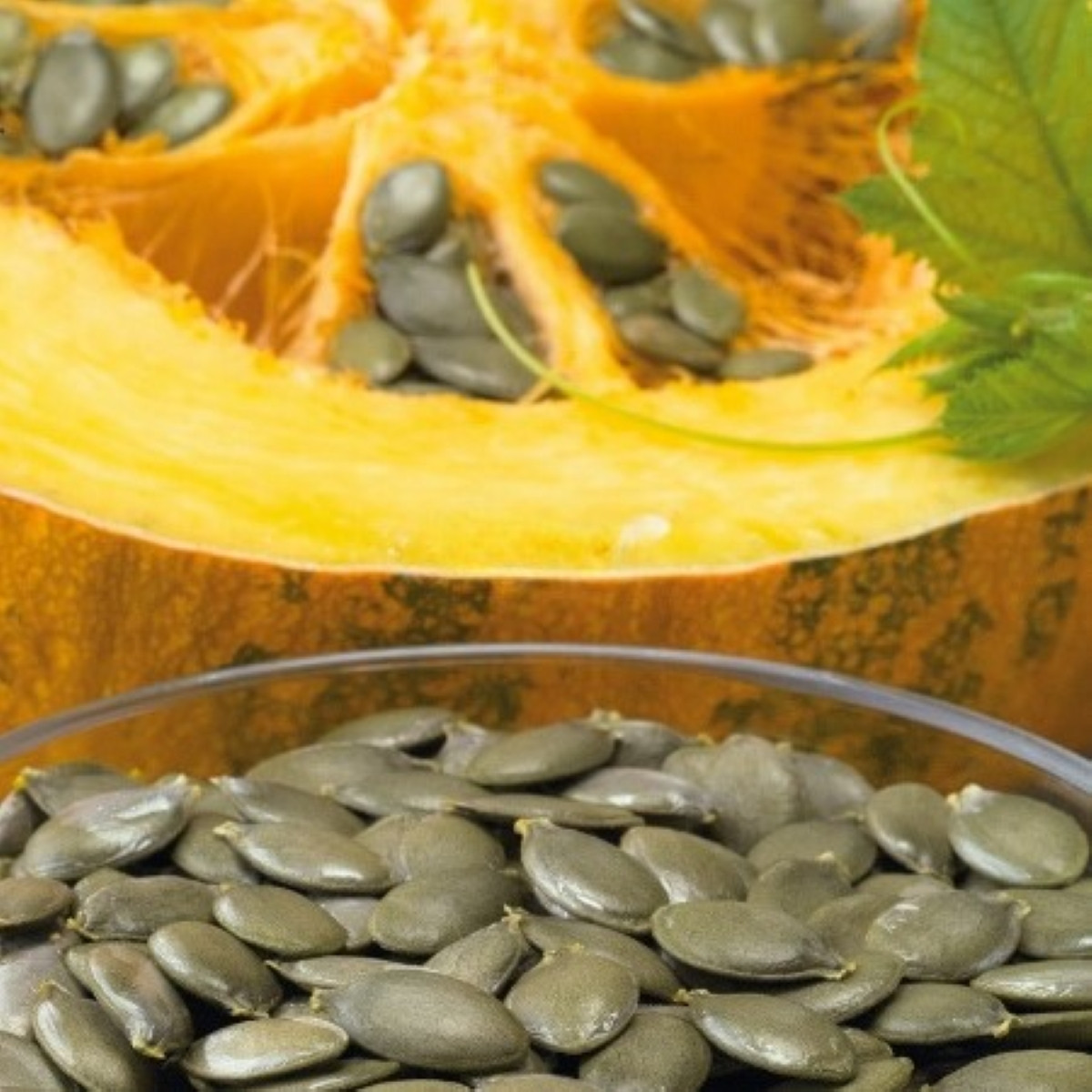 Tykev olejná Trumf F1 - Cucurbita pepo - osivo tykve - 12 ks