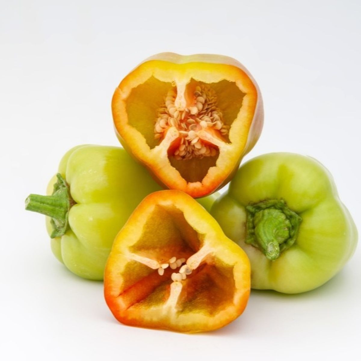 Paprika Amy - Capsicum annuum - osivo papriky - 50 ks