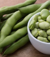 Bob obecný bílý Dreifach Weisse - Vitia faba - osivo bobu - 20 ks