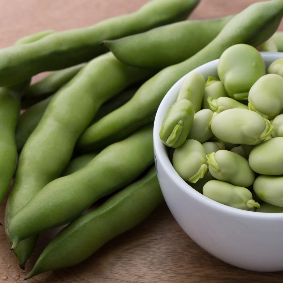 Bob obecný bílý Dreifach Weisse - Vitia faba - osivo bobu - 20 ks