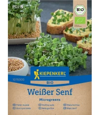 BIO Bílá hořčice - mikrozelenina - 50 g