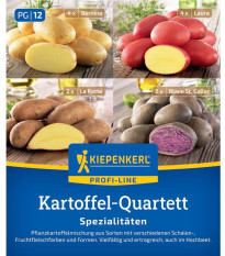 Sadbové brambory - 4 druhy - Solanum tuberosum - sadba - 12 ks