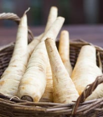 Pastiňák Javelin F1 - Pastinaca sativa - osivo pastiňáku - 0,3 g