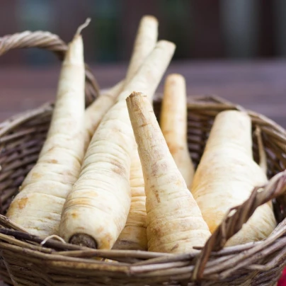 Pastiňák Javelin F1 - Pastinaca sativa - osivo pastiňáku - 0,3 g