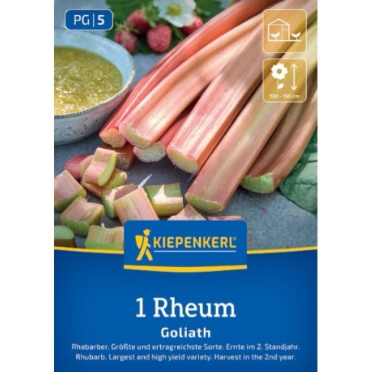 Rebarbora Goliath - Rheum rhabarbarum - prostokořenná sazenice rebarbory - 1 ks