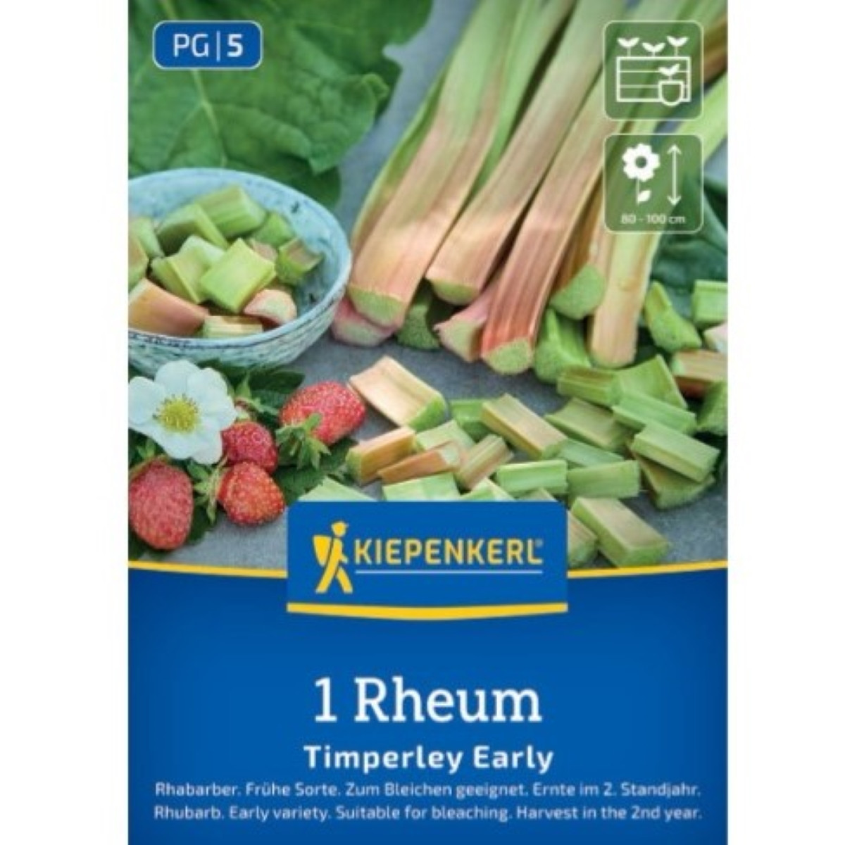 Rebarbora Timperley Early - Rheum rhabarbarum - prostokořenná sazenice rebarbory - 1 ks