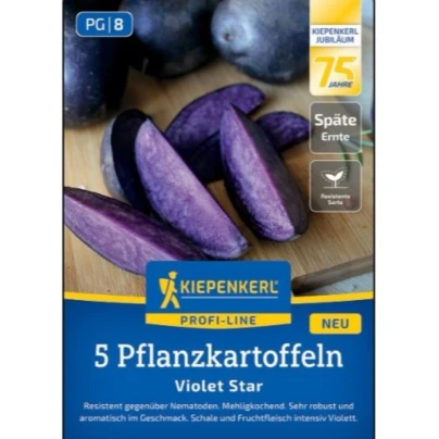 Sadbové brambory Violet Star - Solanum tuberosum - Kiepenkerl - sadba - 5 ks