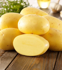 BIO Sadbové brambory Agria - Solanum tuberosum - Kiepenkerl - bio sadba - 10 ks