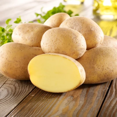 Sadbové brambory Gunda - Solanum tuberosum - Kiepenkerl - sadba - 10 ks
