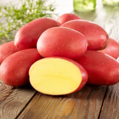 Sadbové brambory Laura - Solanum tuberosum - Kiepenkerl - sadba - 10 ks