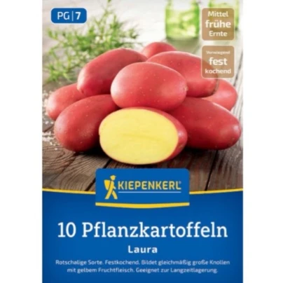 Sadbové brambory Laura - Solanum tuberosum - Kiepenkerl - sadba - 10 ks