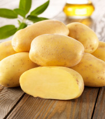 Sadbové brambory Sieglinde - Solanum tuberosum - Kiepenkerl - sadba - 10 ks