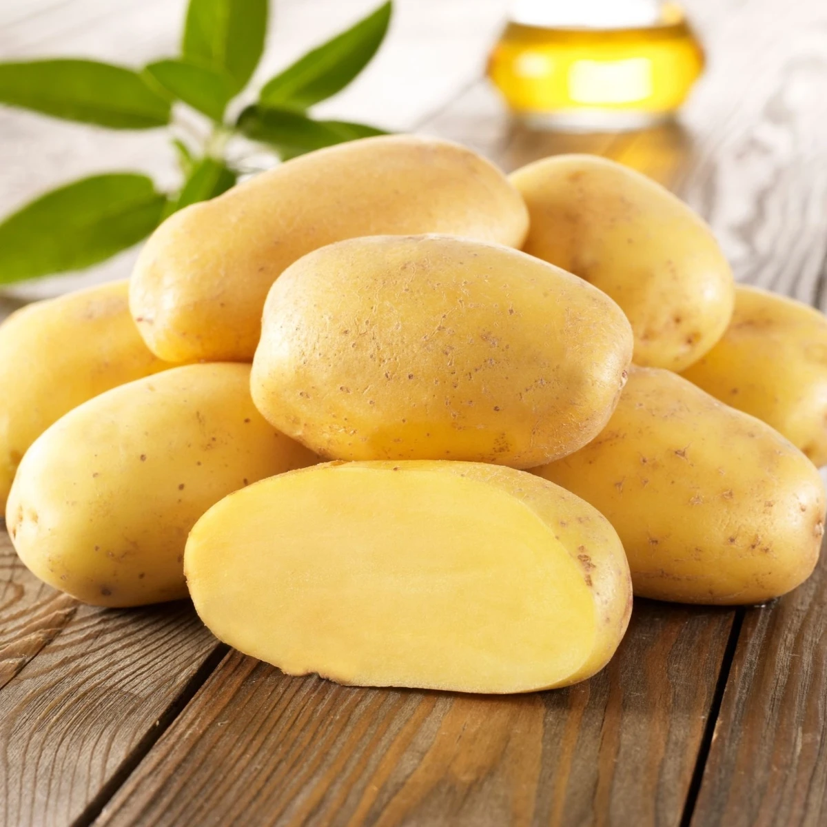 Sadbové brambory Sieglinde - Solanum tuberosum - Kiepenkerl - sadba - 10 ks