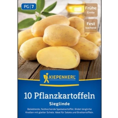 Sadbové brambory Sieglinde - Solanum tuberosum - Kiepenkerl - sadba - 10 ks