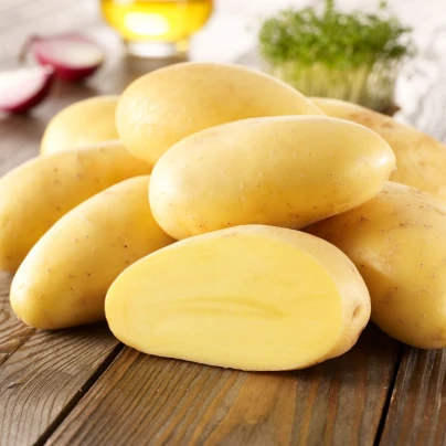Sadbové brambory Cilena - Solanum tuberosum - Kiepenkerl - sadba - 10 ks