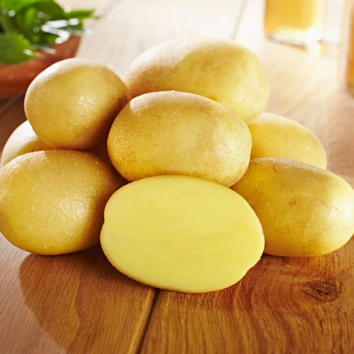 Sadbové brambory Glorietta - Solanum tuberosum - Kiepenkerl - sadba - 10 ks