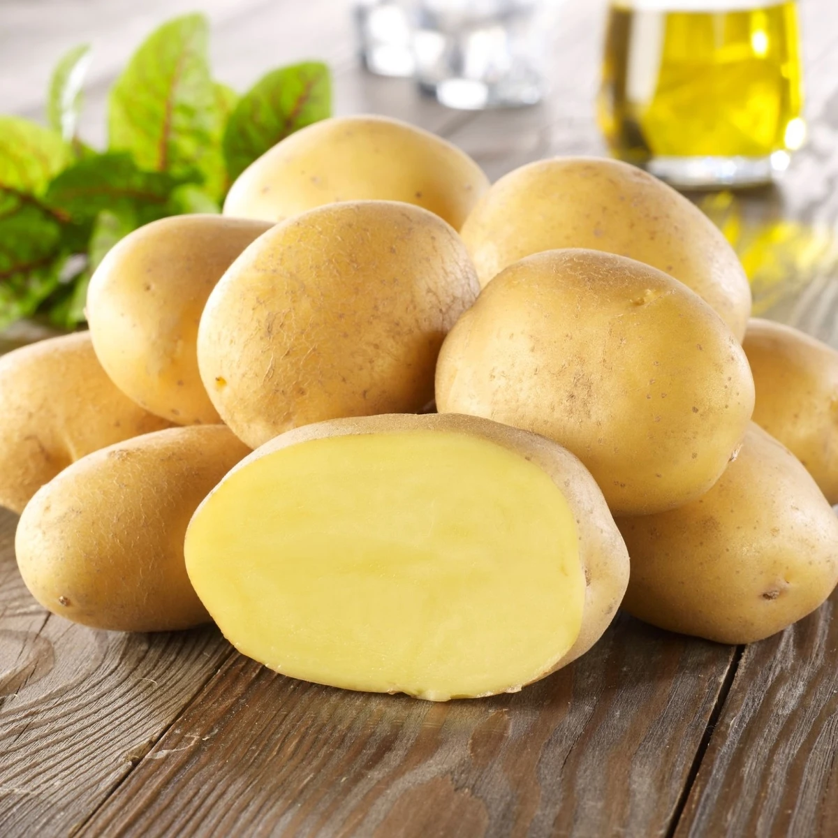 Sadbové brambory Linda - Solanum tuberosum - Kiepenkerl - sadba - 10 ks